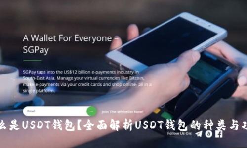 什么是USDT钱包？全面解析USDT钱包的种类与功能