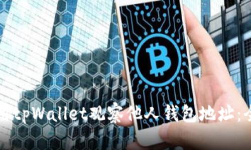 如何使用tpWallet观察他人钱包地址：全面指南