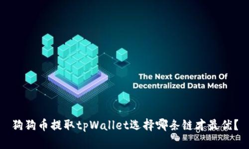 狗狗币提取tpWallet选择哪条链才最优？